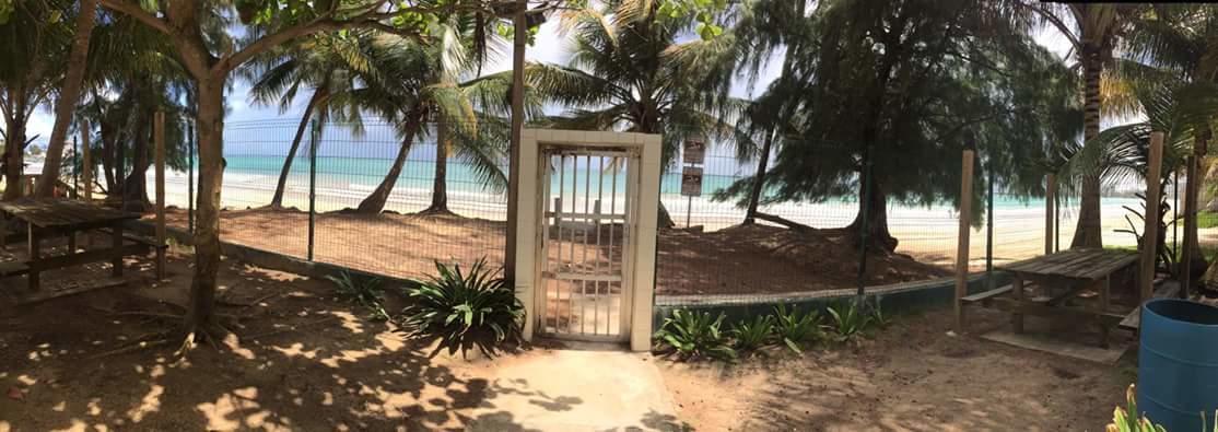 Beach Front Apt Isla Verde 2 Apartment San Juan Exterior foto